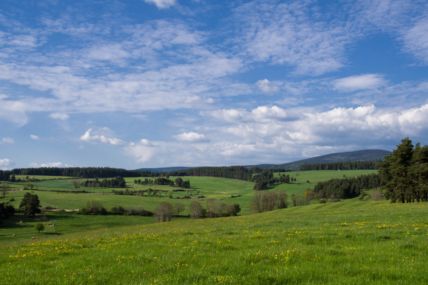 Le petit Mourione VTT n°11 Le Malzieu-Ville Occitanie