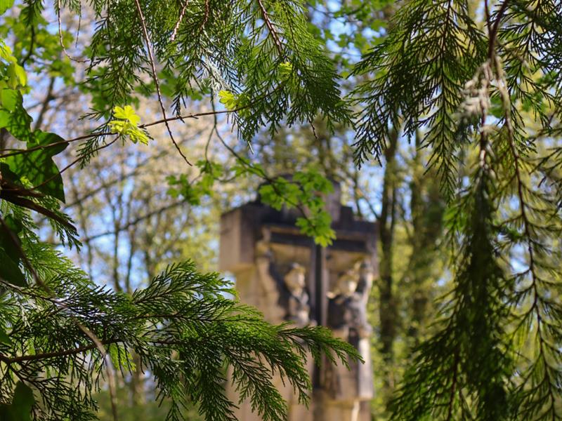 Au Bois-le-Prêtre Circuit de la Croix des Carmes Montauville Grand Est