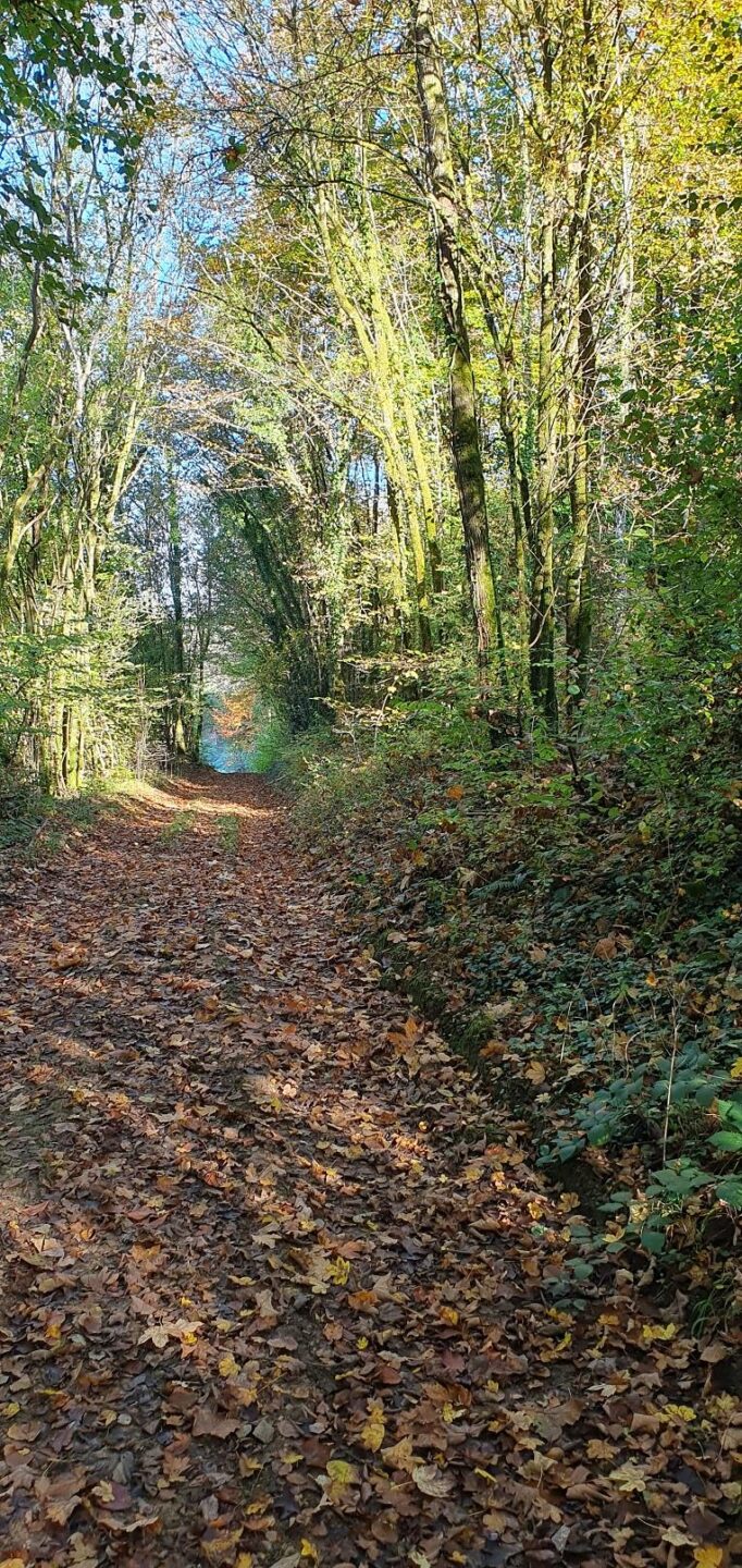 Sentier pédestre du limaçon Longuyon Grand Est
