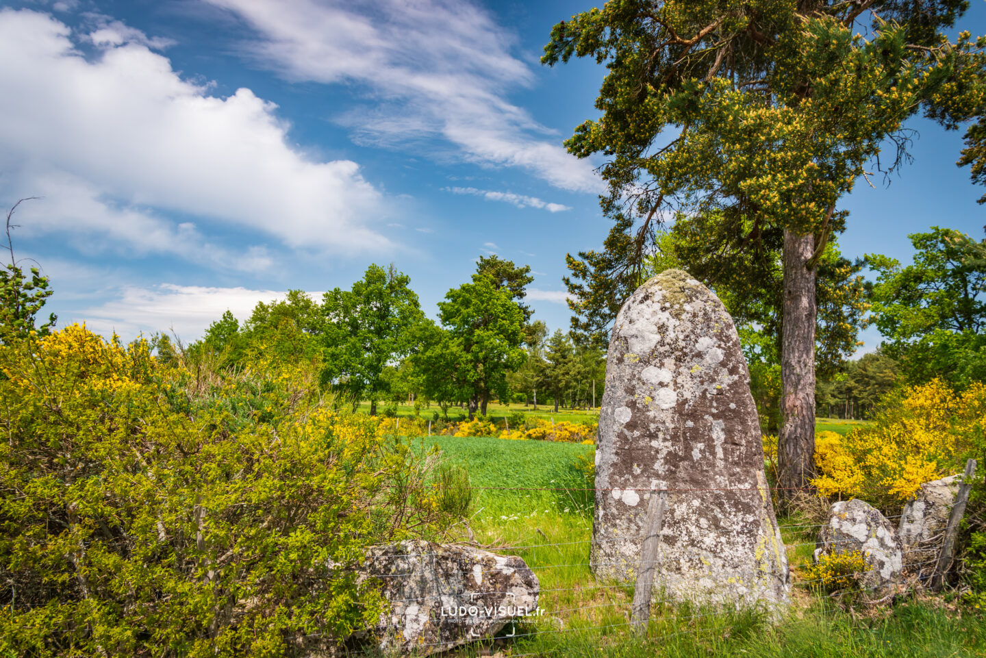Le Menhir de Pinjo Chabre VTT n°12 Saint-Pierre-le-Vieux Occitanie