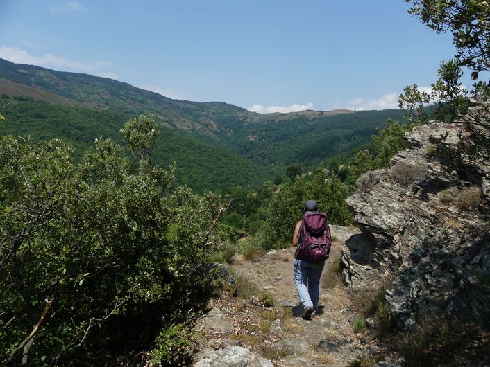 Le Ravin de l’Enfer Ventalon en Cévennes Occitanie Le Ravin de l'Enfer Ventalon en Cévennes Occitanie