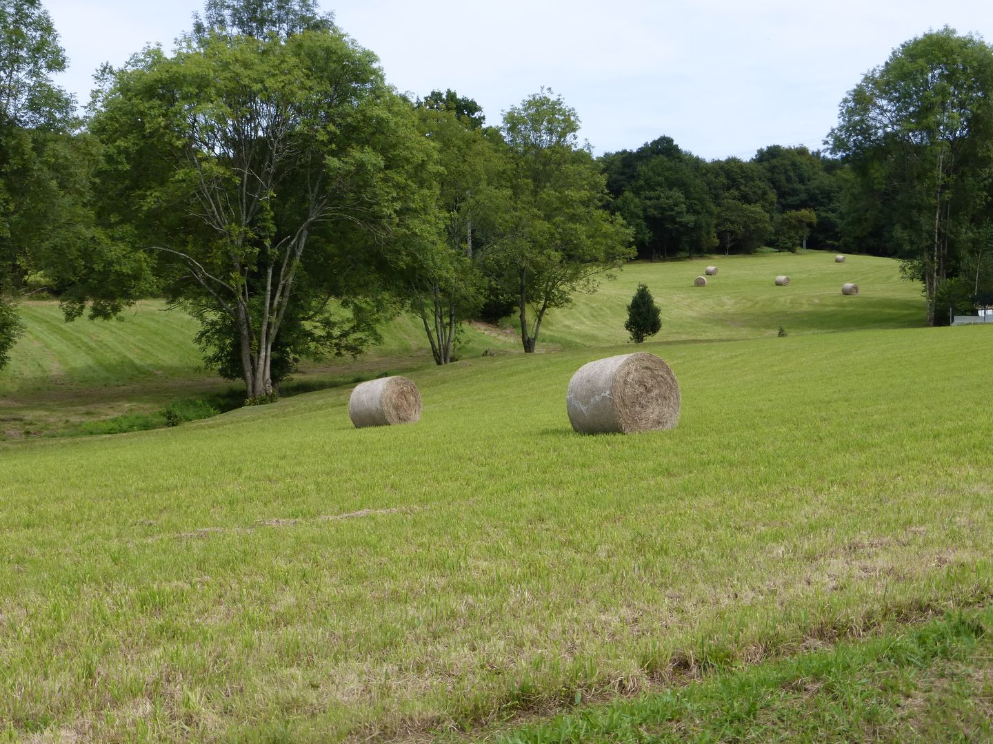Maucor Berges du Laaps Maucor Nouvelle-Aquitaine