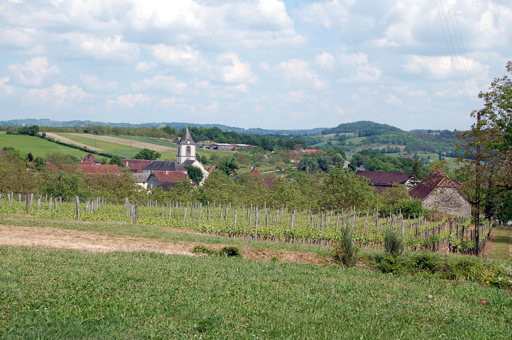 Autour du vignoble Branceilles Nouvelle-Aquitaine