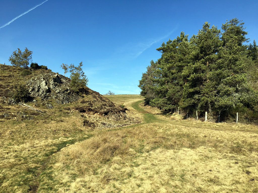 A la naissance du Chavanon Parcours PAPSE 11 km Laroche-près-Feyt Nouvelle-Aquitaine