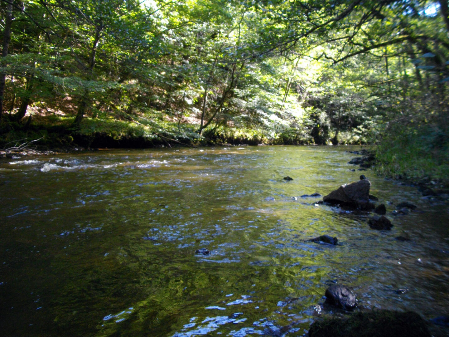 Les Ermites Monestier-Merlines Nouvelle-Aquitaine