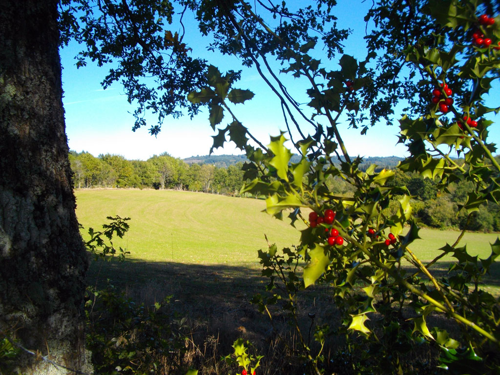 Au charbon ! Maussac Nouvelle-Aquitaine