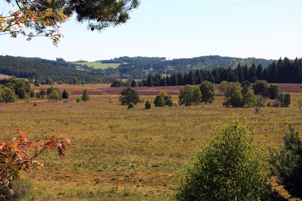 Du site des Cars à la tourbière du Longeyroux Saint-Merd-les-Oussines Nouvelle-Aquitaine Du site des Cars à la tourbière du Longeyroux Saint-Merd-les-Oussines Nouvelle-Aquitaine