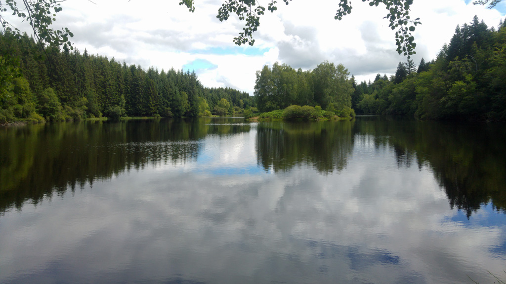 Le mystère de l'étang noir (raccourci) 7 km Saint-Victour Nouvelle-Aquitaine