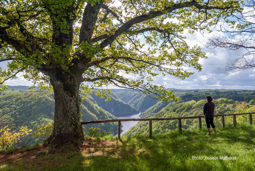 Marchez dans les pas du diable Sarroux Saint Julien Nouvelle-Aquitaine