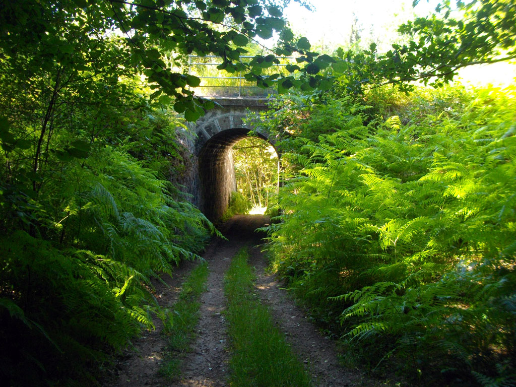 VTT Gravel La ronde des moulins 18 km circuit 4 Ussel Nouvelle-Aquitaine