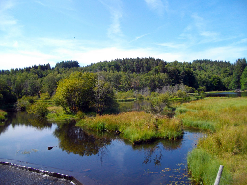 VTT Gravel Circuit des Croix 19 km circuit 42 Peyrelevade Nouvelle-Aquitaine