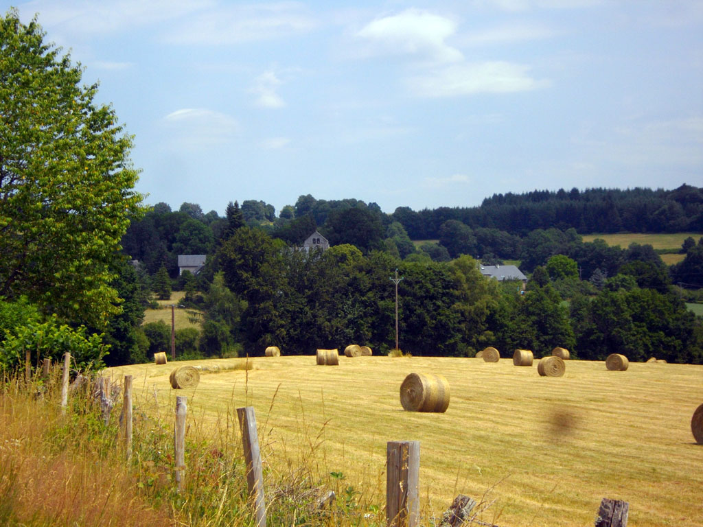 Chemin de campagne 7 km Bellechassagne Nouvelle-Aquitaine