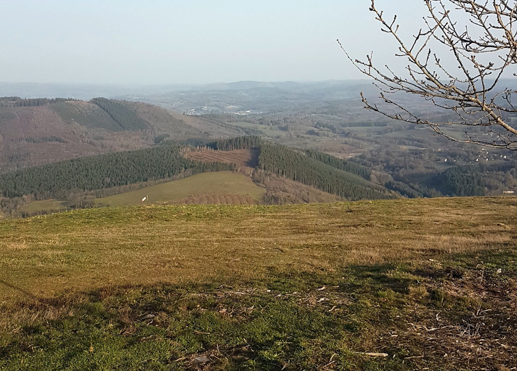 Trail de Veix A l'assaut du Puy de la Monédière Veix Nouvelle-Aquitaine