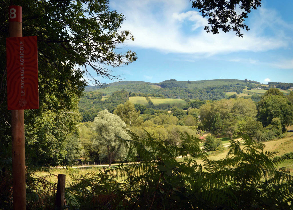 Trail de l’arboretum Chamberet Nouvelle-Aquitaine Trail de l'arboretum Chamberet Nouvelle-Aquitaine