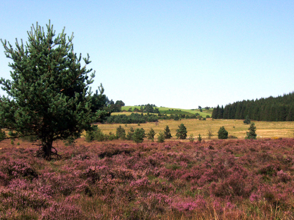 Trail Alain Mimoun Bugeat Nouvelle-Aquitaine