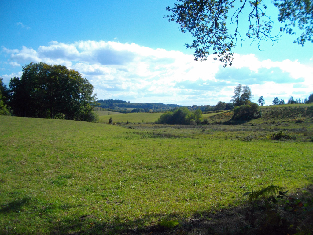 Au fil de la Sarsonne Saint-Pardoux-le-Neuf Nouvelle-Aquitaine