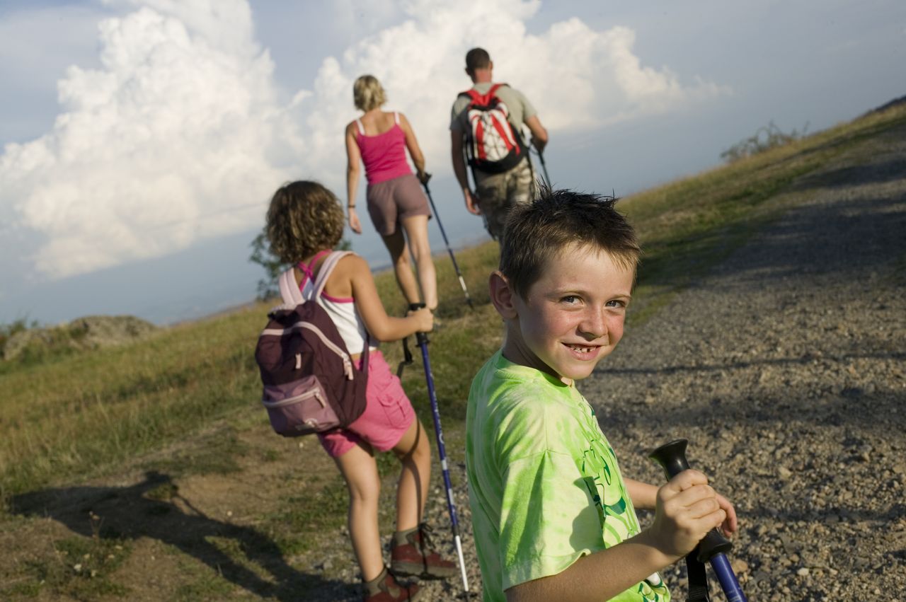 La forêt de la Chapelle aux Brocs La Chapelle-aux-Brocs Nouvelle-Aquitaine