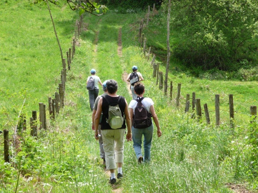 D'un château à l'autre Saint-Germain-les-Vergnes Nouvelle-Aquitaine