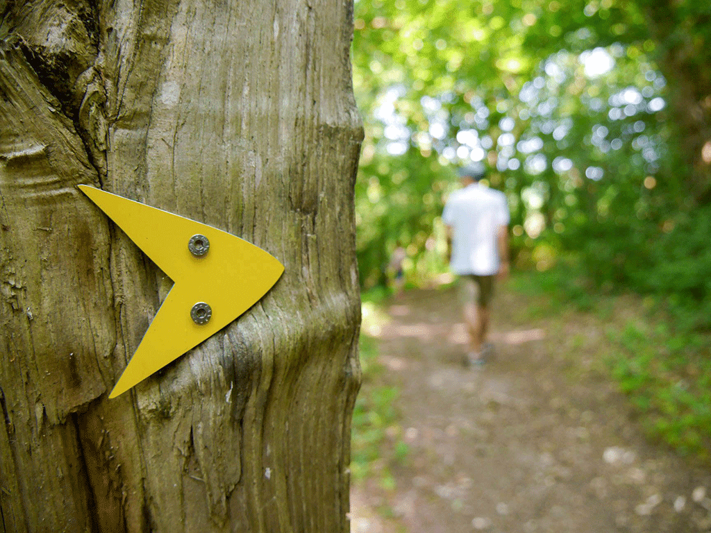 Parcours Tulle Nature N°1 Stade de Trail Tulle Nouvelle-Aquitaine