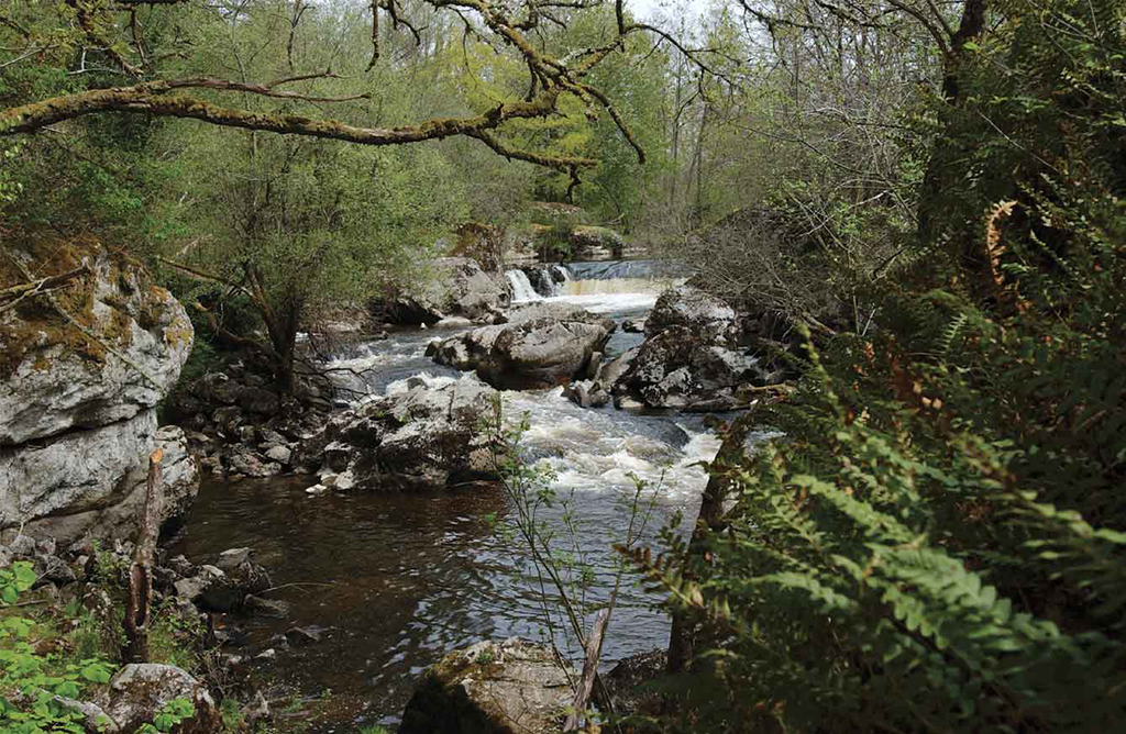 Circuit Pédestre N°36 CC "Thauron par la Face Sud" Thauron Nouvelle-Aquitaine