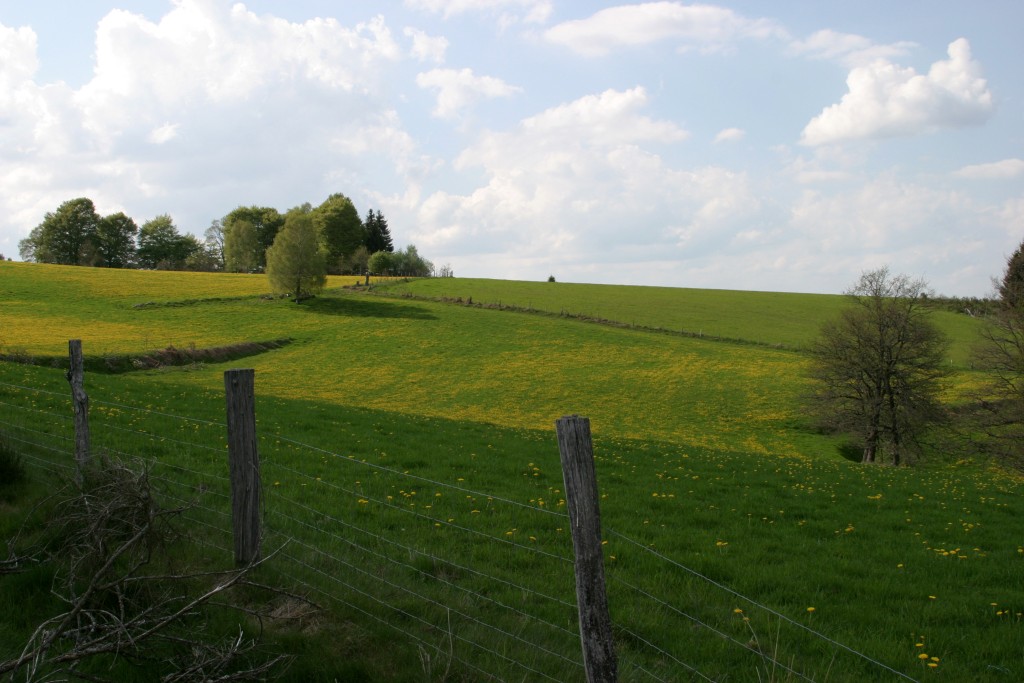 Le Puy de l'Aiguille 10 km Féniers Nouvelle-Aquitaine