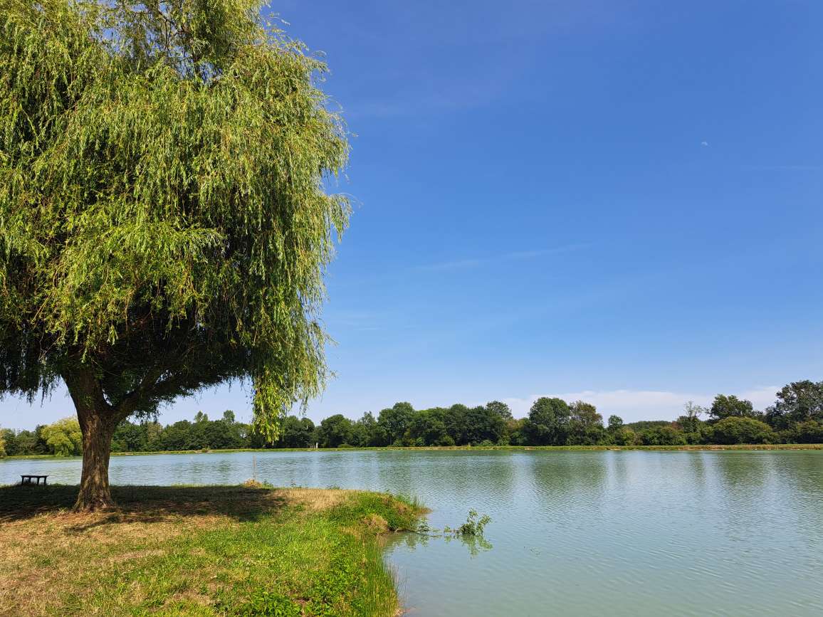 Entre brandes et plaines Champagné-Saint-Hilaire Nouvelle-Aquitaine