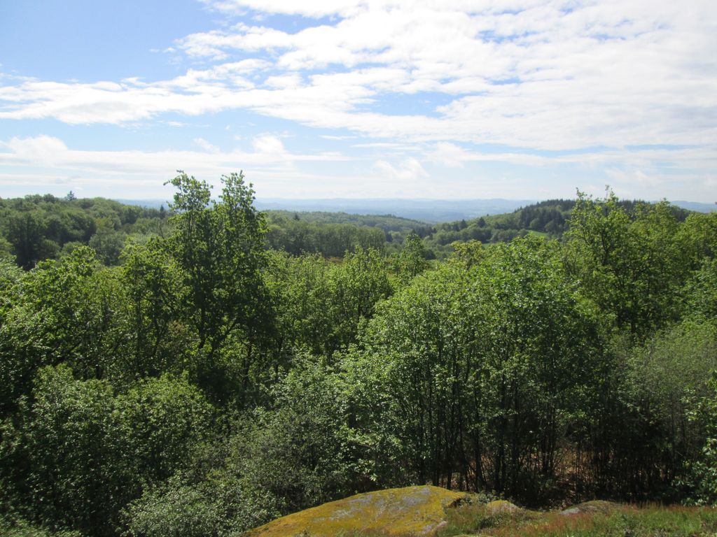 Circuit pédestre n°SG4 Le bois de Roche Saint-Goussaud Nouvelle-Aquitaine
