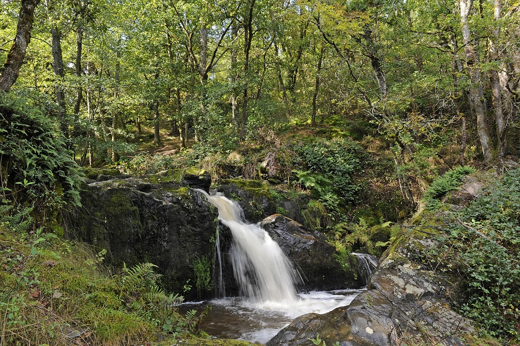 Circuit de randonnée pédestre n° 25 Le Theil Anzême Nouvelle-Aquitaine Circuit de randonnée pédestre n° 25 Le Theil Anzême Nouvelle-Aquitaine