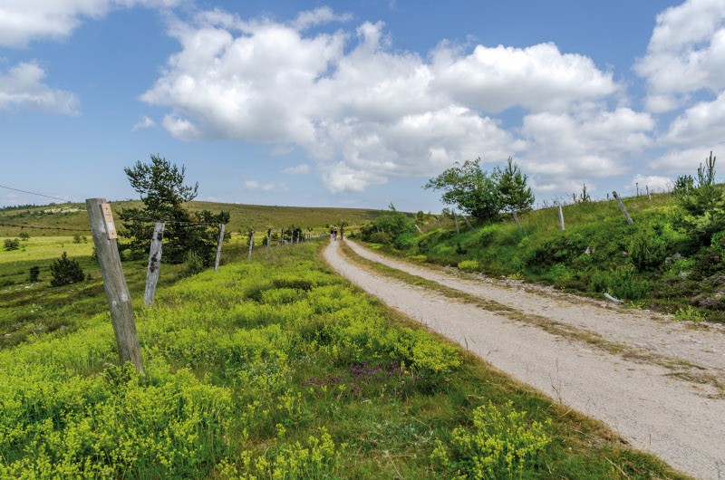 Col de Finiels VTT n°12 Mont Lozère et Goulet Occitanie