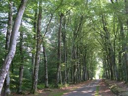 Chemin de l'âme de l'âne au Rio Négro La Geneytouse Nouvelle-Aquitaine