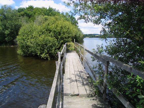 Circuit Les Daumiers Saint-Pardoux-le-Lac Nouvelle-Aquitaine Circuit Les Daumiers Saint-Pardoux-le-Lac Nouvelle-Aquitaine