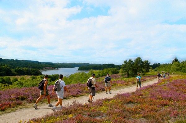 Circuit le tour du lac de Saint-Pardoux Saint-Pardoux-le-Lac Nouvelle-Aquitaine Circuit le tour du lac de Saint-Pardoux Saint-Pardoux-le-Lac Nouvelle-Aquitaine
