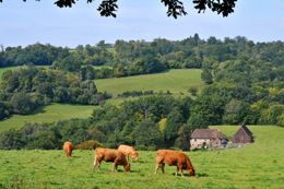Circuit du Tram Saint-Bonnet-Briance Nouvelle-Aquitaine Circuit du Tram Saint-Bonnet-Briance Nouvelle-Aquitaine