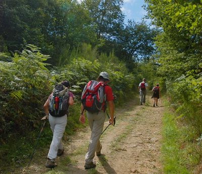 Balade en forêt des loges Saint-Priest-sous-Aixe Nouvelle-Aquitaine
