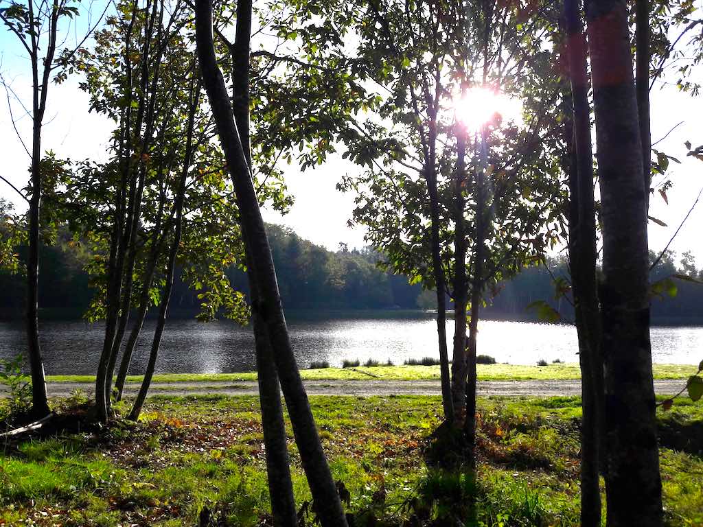 Circuit du Loup Garou La Chapelle-Montbrandeix Nouvelle-Aquitaine