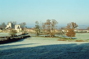 La forêt de Cromières Cussac Nouvelle-Aquitaine La forêt de Cromières Cussac Nouvelle-Aquitaine