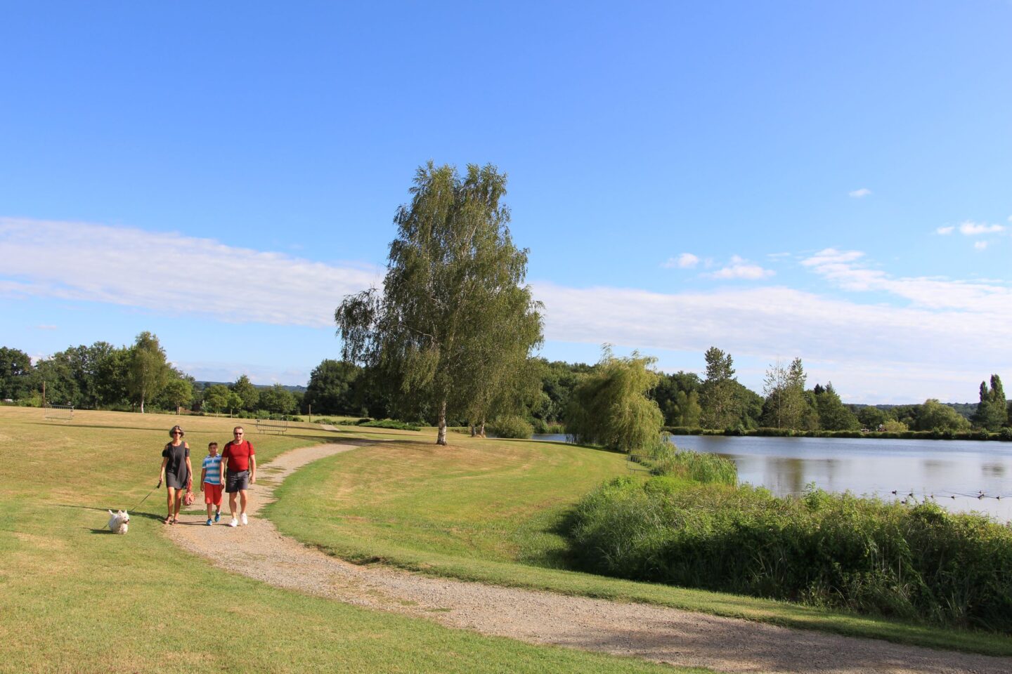 Circuit du bord de Vienne par bois et villages Saint-Brice-sur-Vienne Nouvelle-Aquitaine