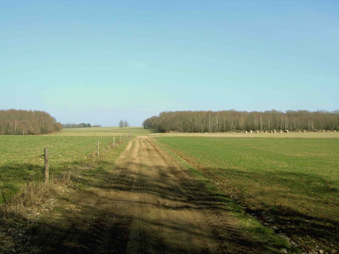 Sentier Puy du Thé piste 4 Neuvic-Entier Nouvelle-Aquitaine