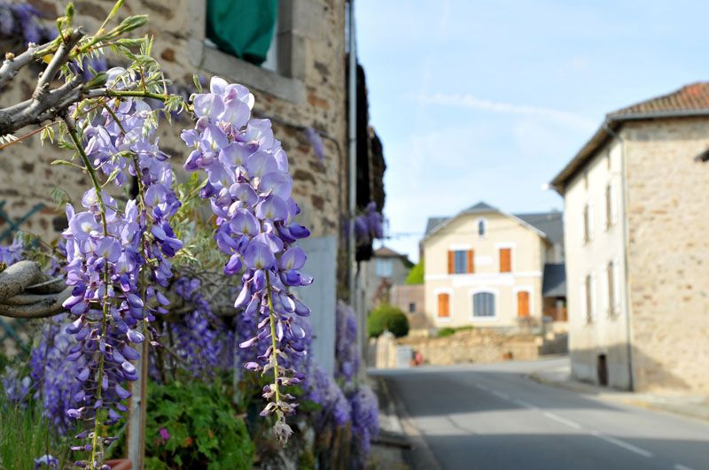 Chemin de Soumagnas Gorre Nouvelle-Aquitaine