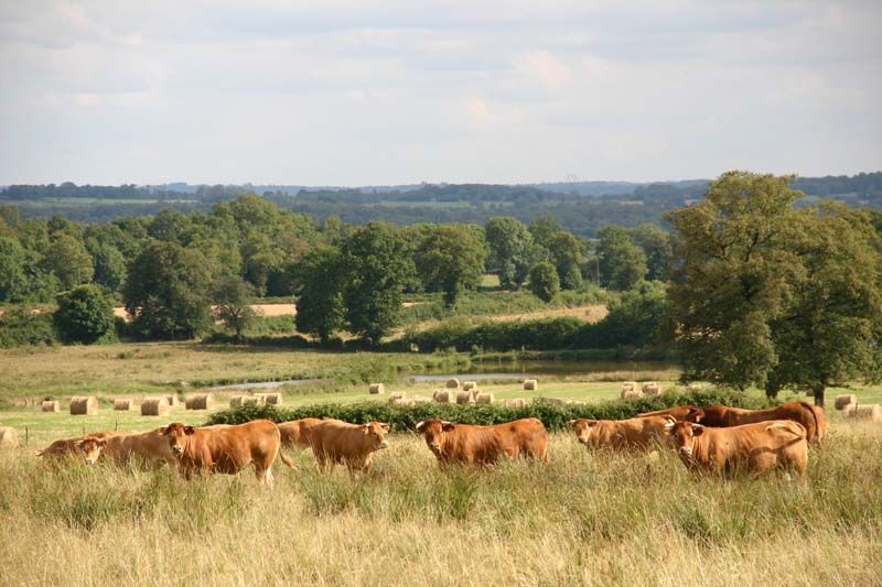 Chemin de la Margoulette Magnac-Laval Nouvelle-Aquitaine Chemin de la Margoulette Magnac-Laval Nouvelle-Aquitaine