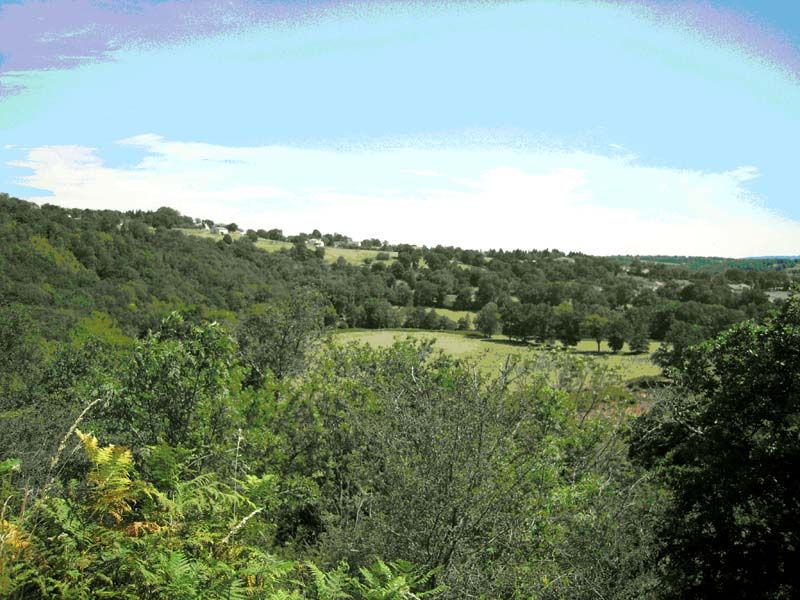 La Roche Vigeanne Peyrat-de-Bellac Nouvelle-Aquitaine