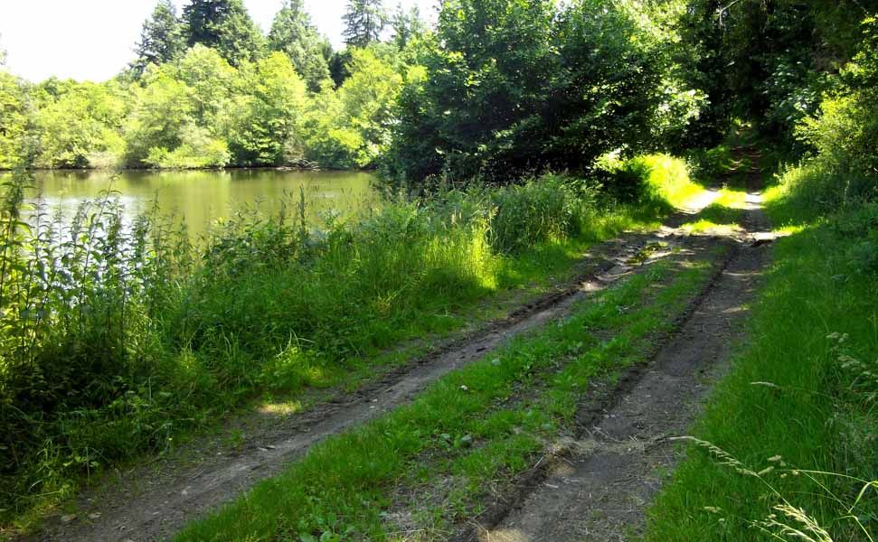 Chemin de Caux La Mazière Royères Nouvelle-Aquitaine Chemin de Caux La Mazière Royères Nouvelle-Aquitaine