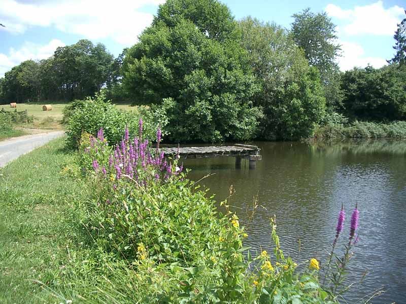 Chemin des sources Champsac Nouvelle-Aquitaine