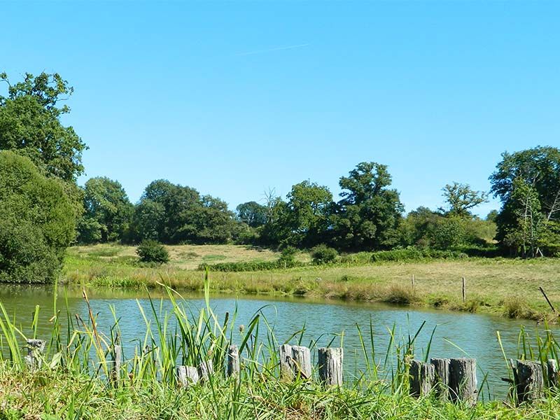 Entre coteaux et vallées Sainte-Marie-de-Vaux Nouvelle-Aquitaine