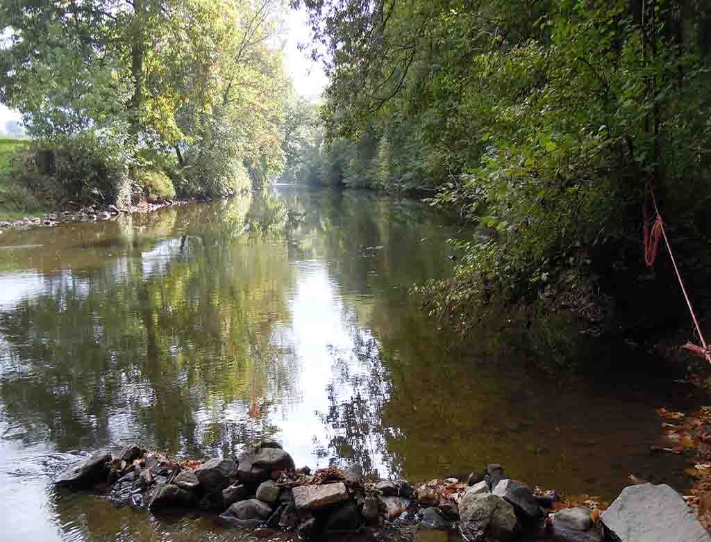 Sentier de Saint-Roch Jourgnac Nouvelle-Aquitaine