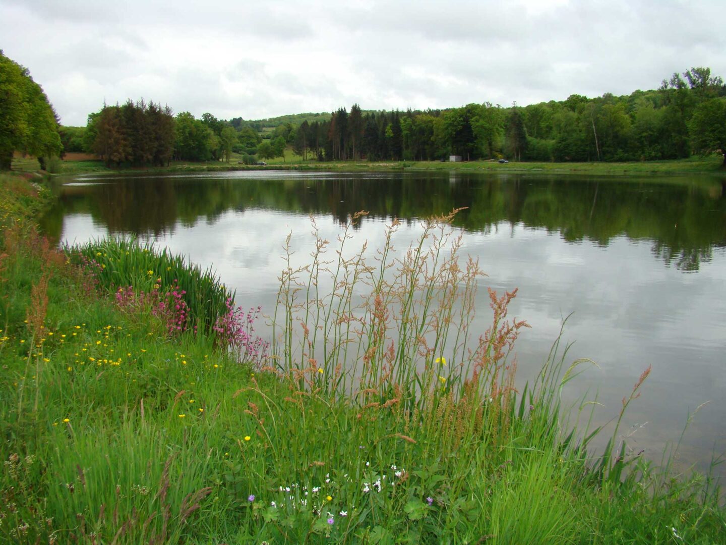 La pierre de Neuvic Neuvic-Entier Nouvelle-Aquitaine