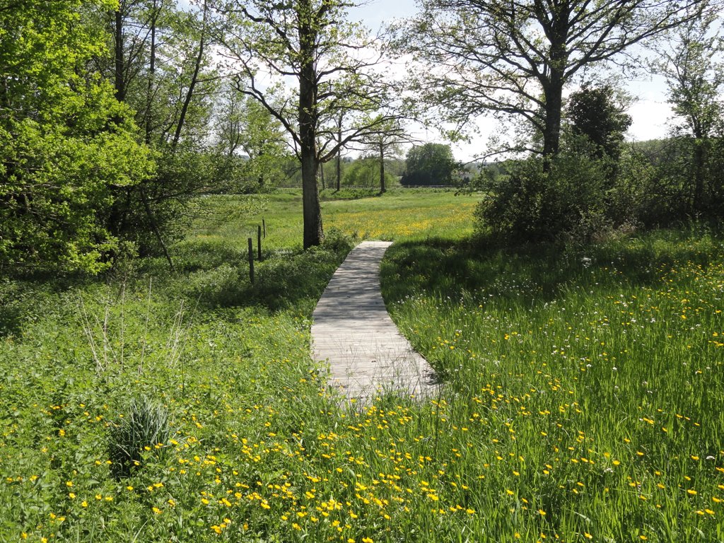 Sentier du bois des Chapelles Oradour-sur-Vayres Nouvelle-Aquitaine Sentier du bois des Chapelles Oradour-sur-Vayres Nouvelle-Aquitaine
