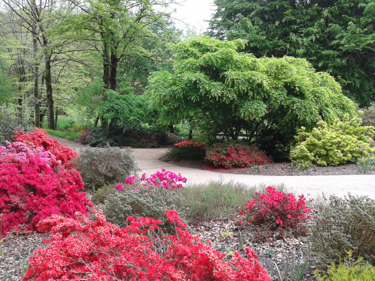 Sentier Bastide-Uzurat Limoges Nouvelle-Aquitaine