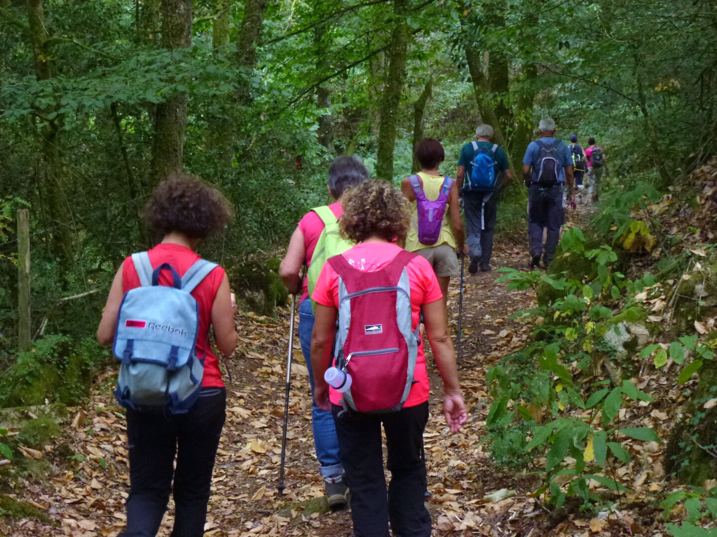 Le tour du bourg Razès Nouvelle-Aquitaine Le tour du bourg Razès Nouvelle-Aquitaine