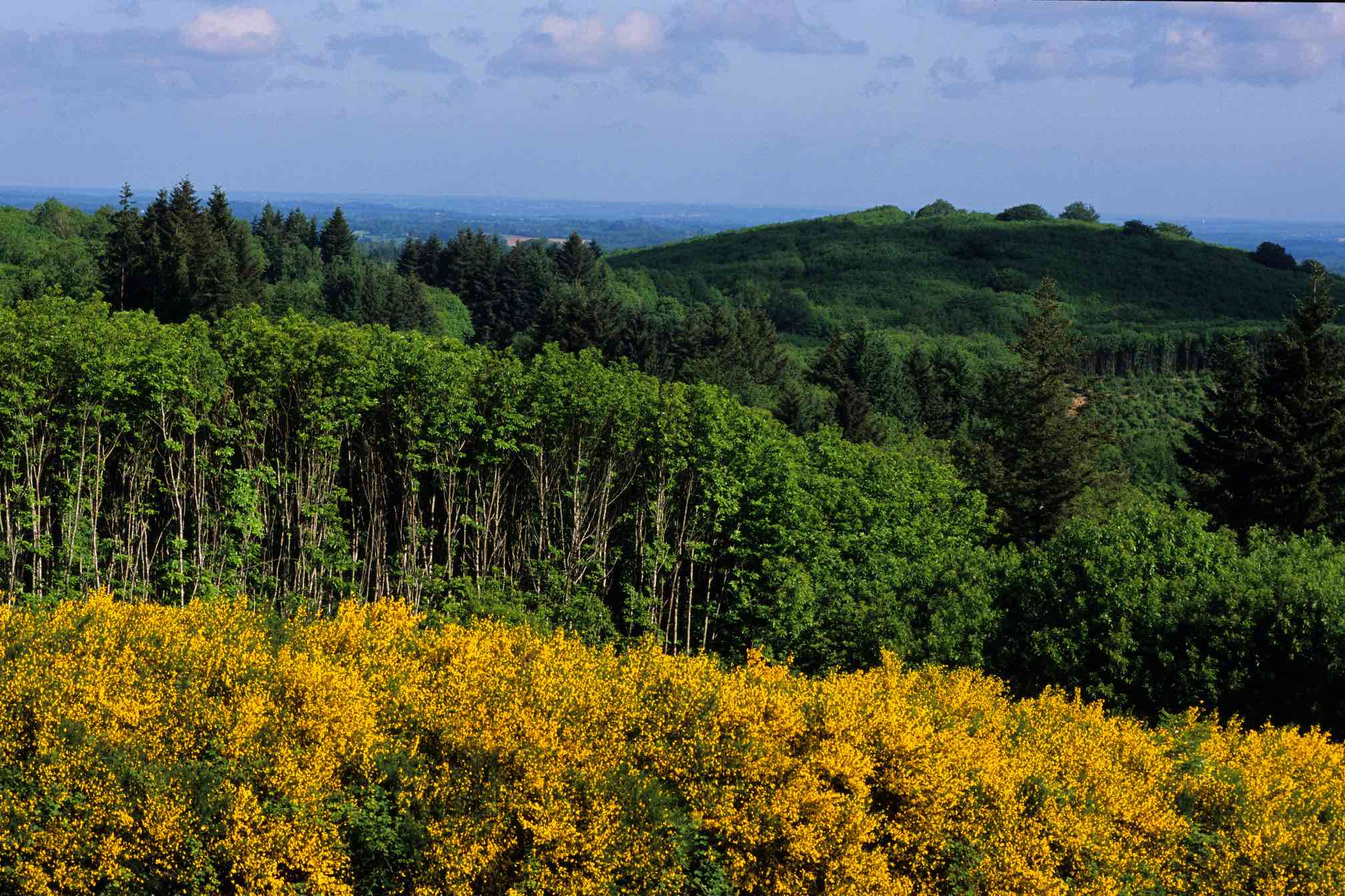 La Grande boucle du Parc Périgord-Limousin Dournazac Nouvelle-Aquitaine
